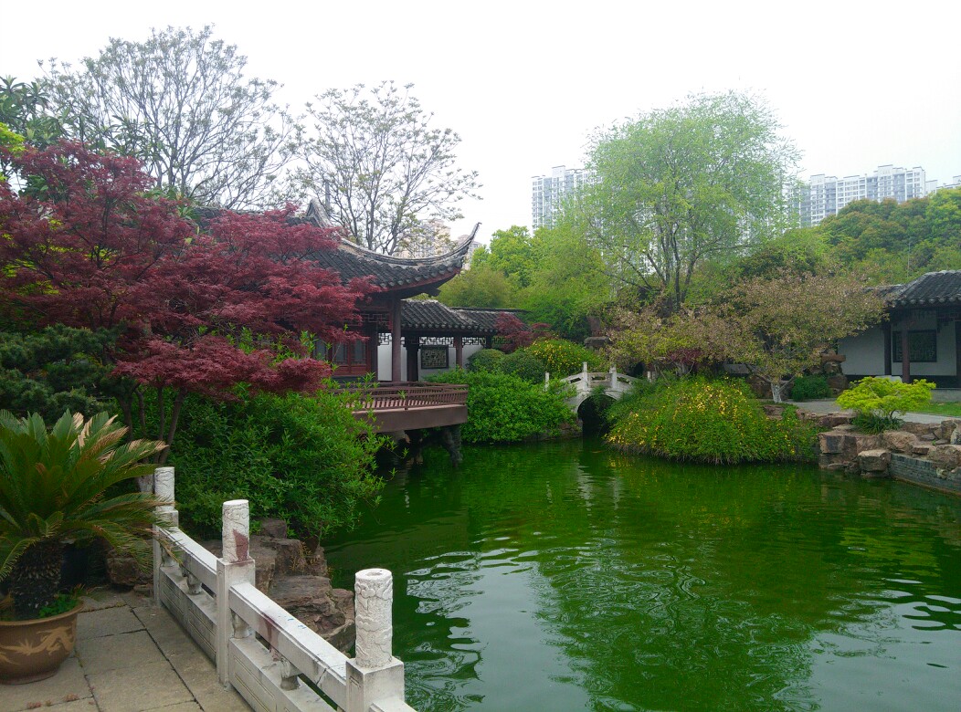 陈渡草堂
