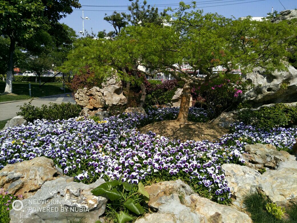 常州荆川公园景色秀丽