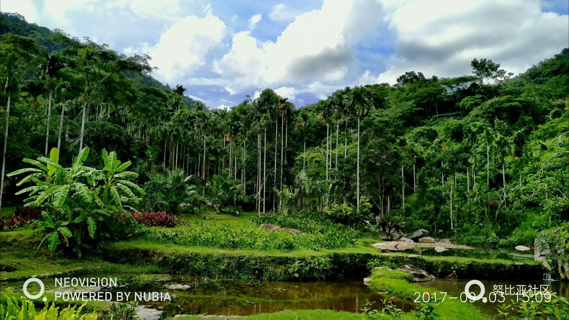 2023五指山热带雨林风景区-旅游攻略-门票-地址-问答-游记点评，五指山旅游旅游景点推荐-去哪儿攻略