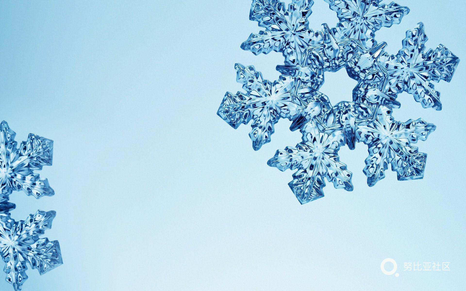 雪花与冰霜 宽屏壁纸