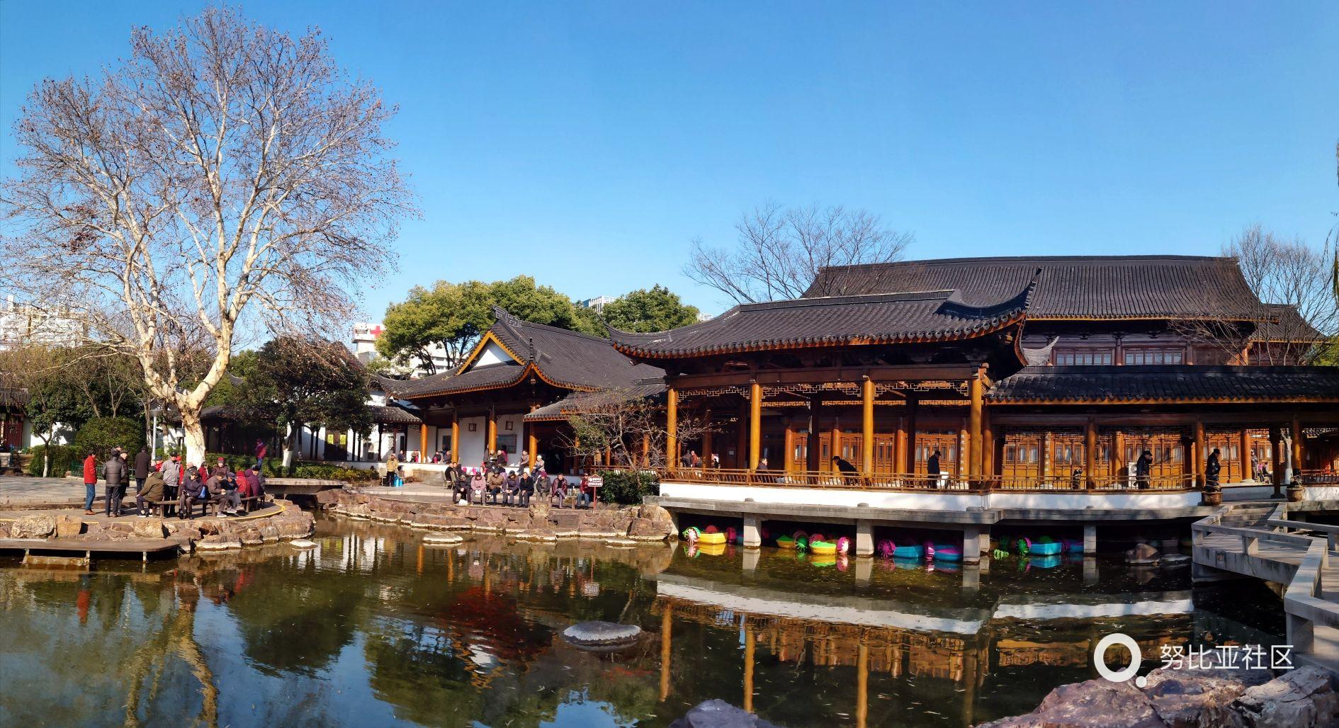 南方冬景-z18拍摄 江苏省无锡江阴市中山公园