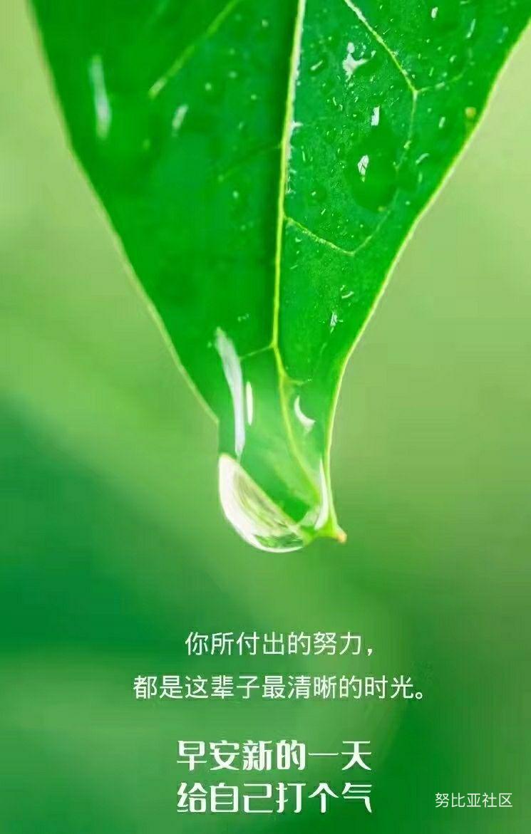 早安