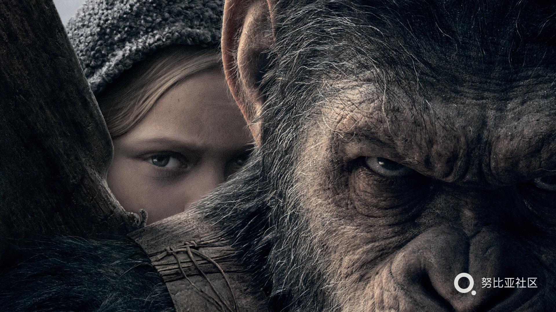 《猩球崛起3》今日上映 人类与猿族“决一死战”